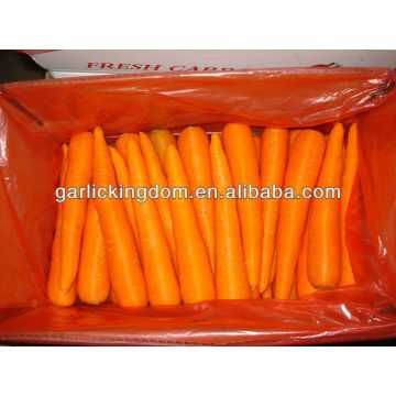 150-250g Zanahoria fresca en cartón de 10kg